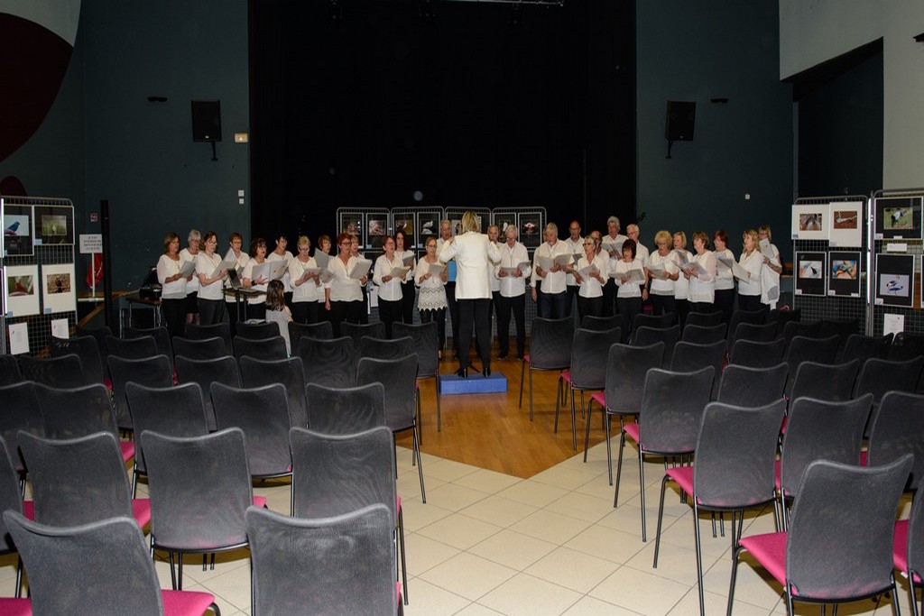 Photo 2019_Les_Oiseaux