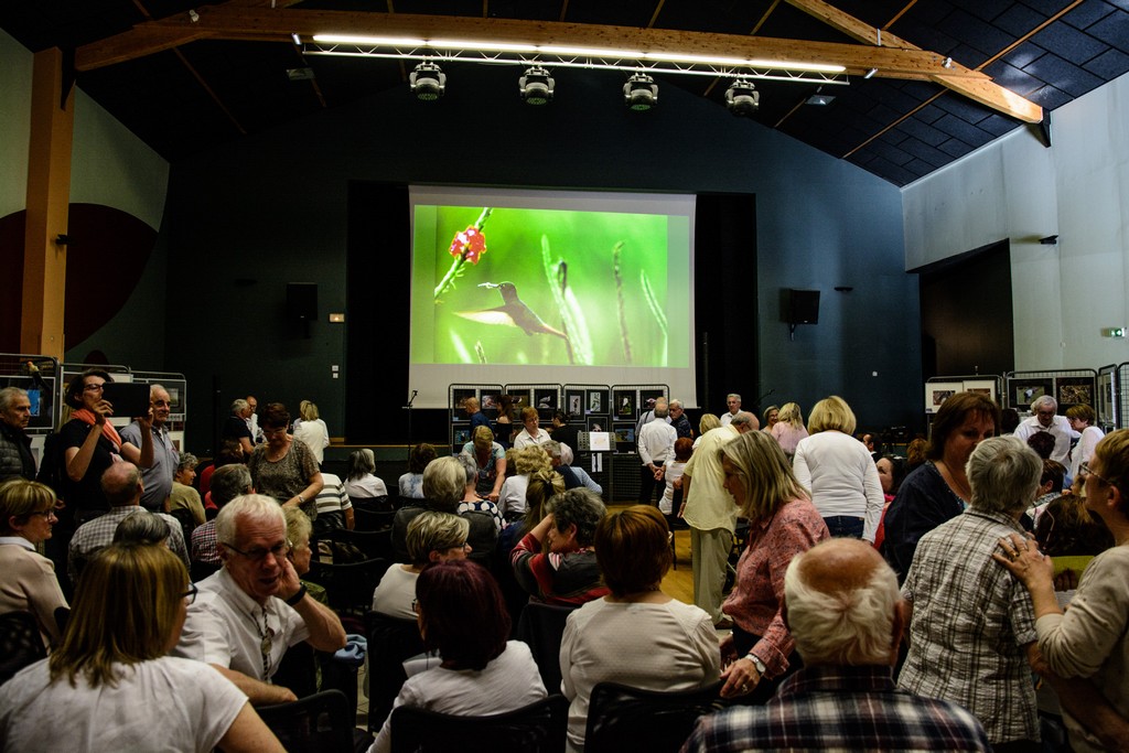 Photo 2019_Les_Oiseaux