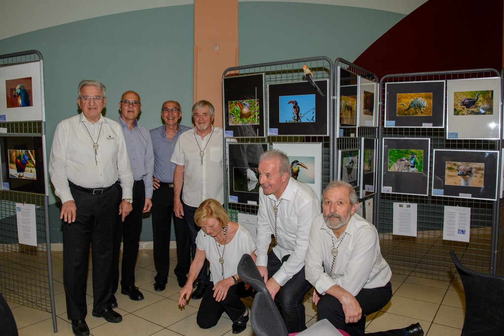 Photo 2019_Les_Oiseaux