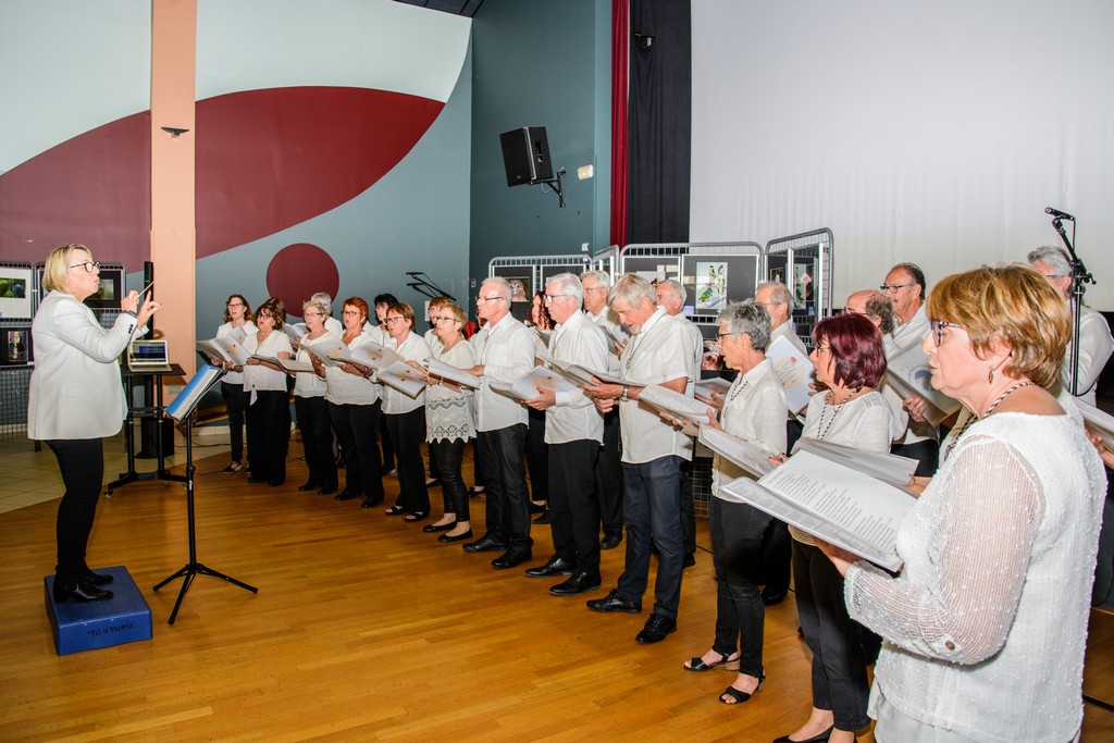 Photo 2019_Les_Oiseaux