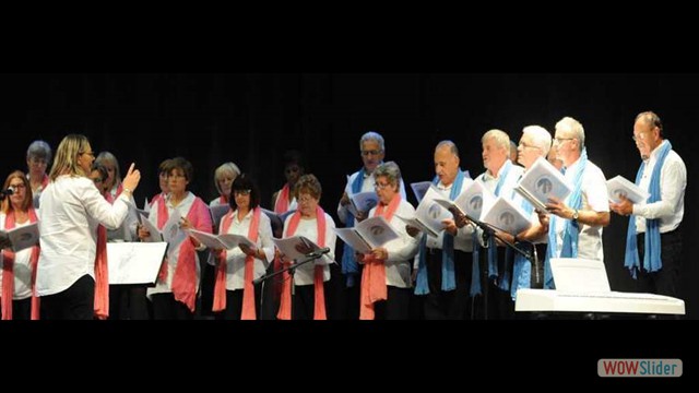 Photo Concerts_passes