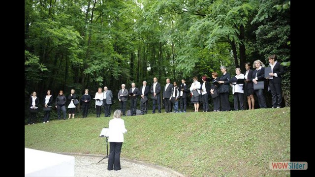 Photo Concerts_passes