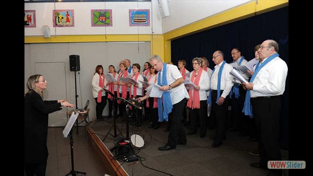 Photo Concerts_passes