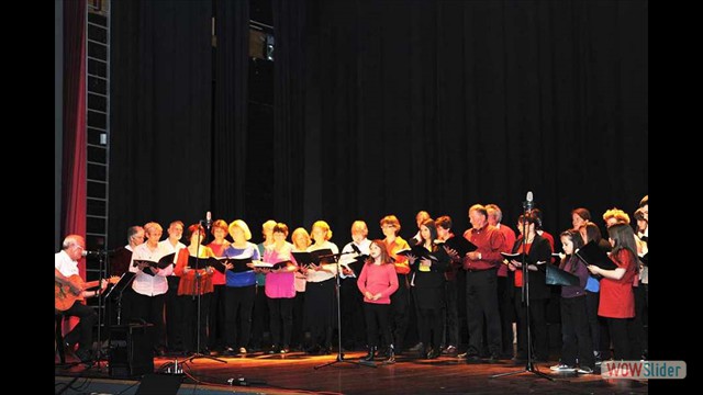 Photo Concerts_passes