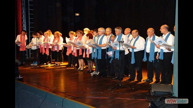 Photo Concerts_passes