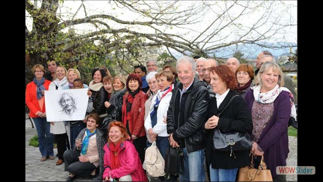 Photo Concerts_passes