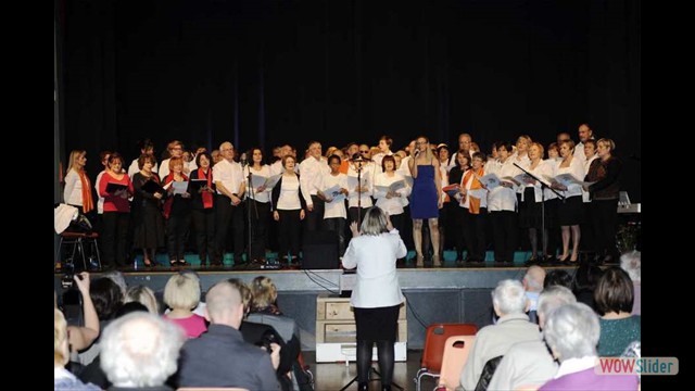 Photo Concerts_passes